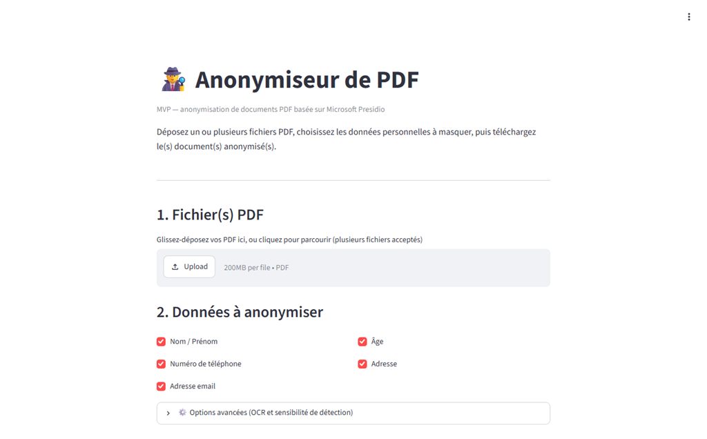 Aperçu de l'anonymiseur de PDF : dépôt de fichiers et choix des données à masquer